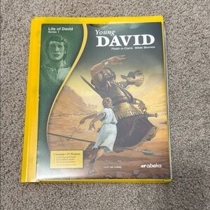 Young David Flash-a-Card Bible Stories